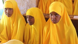 العلوم Image