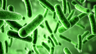 Biology Experiments Image